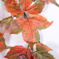 uploads/erp/collection/images/Home Garden/CongDing/XU0611929/img_b/XU0611929_img_b_2